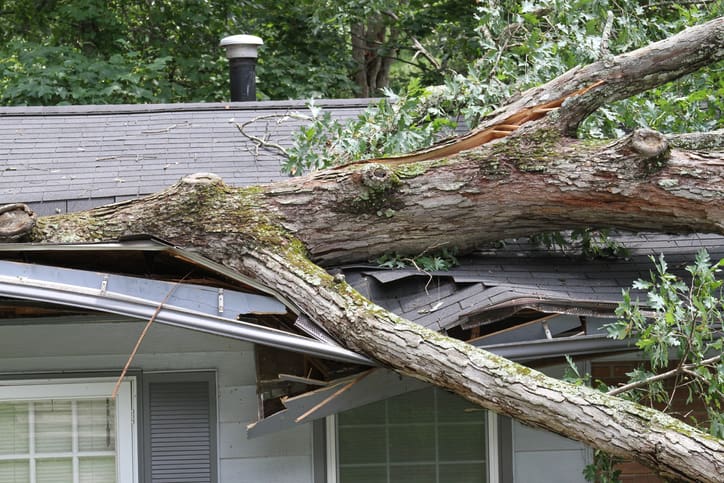 Fallen tree on house caused by storm Fallen tree on house caused by storm