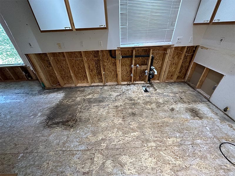 Hidden mold found while remodeling bathroom. Hidden mold found while remodeling bathroom.